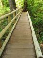 One-Armed Bridge One-Armed Bridge